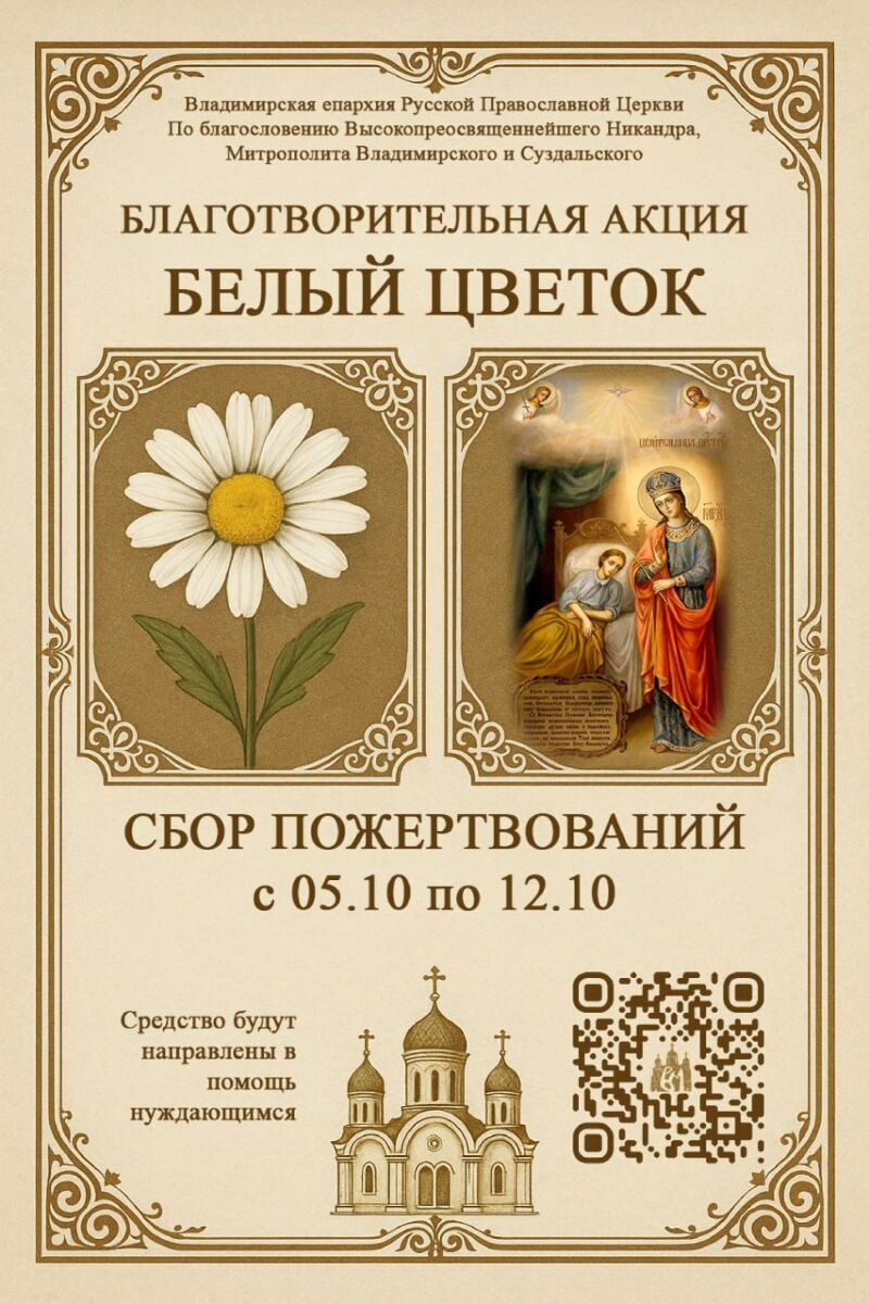 Во Владимирской епархии пройдёт благотворительная акция